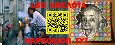 стаф Рязань