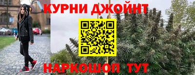 стаф Рязань