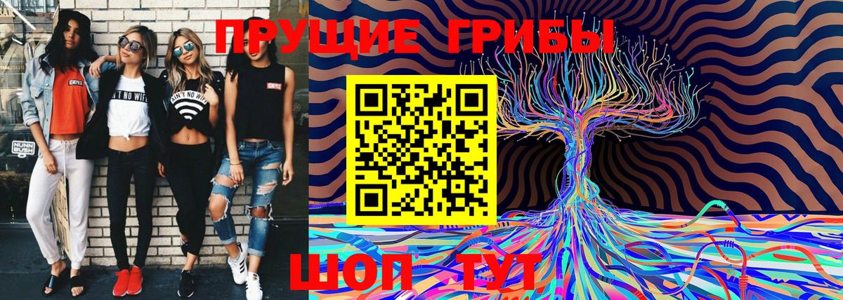 Псилоцибиновые грибы мицелий Реутов