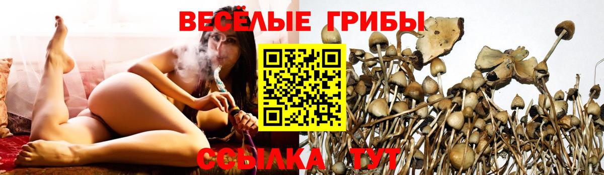 Псилоцибиновые грибы мухоморы  Вход с VPN  Псилоцибиновые грибы GOLDEN TEACHER  Реутов 